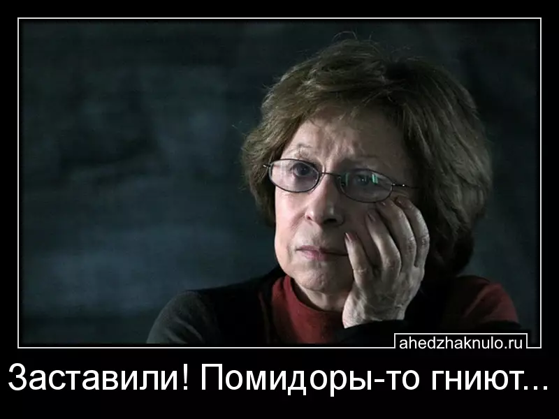 Заставили! Помидоры-то гниют...