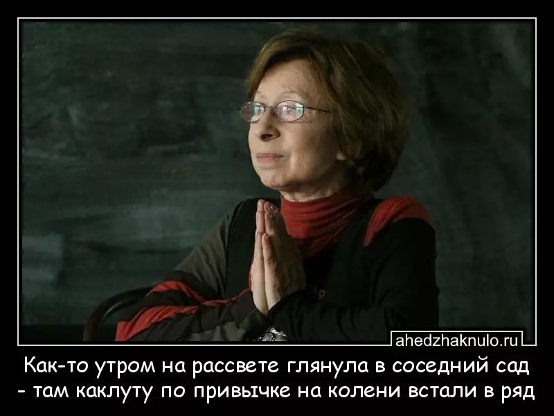 Как-то утром на рассвете глянула в соседний сад - там каклуту по привычке на колени встали в ряд