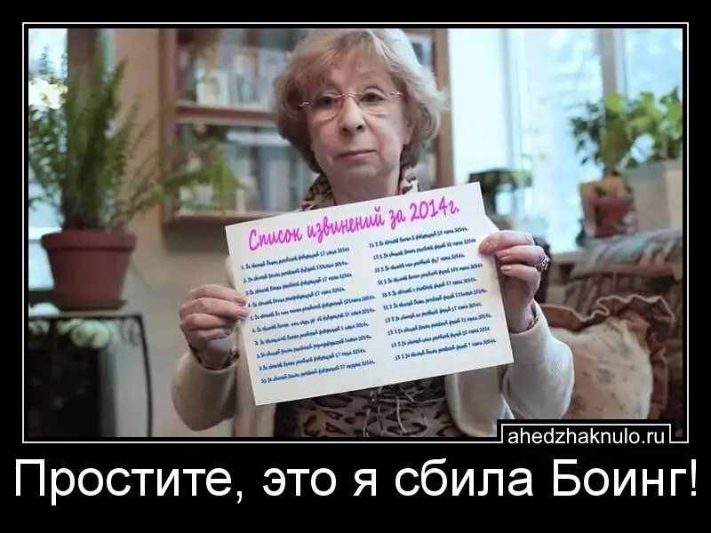 Простите, это я сбила Боинг!