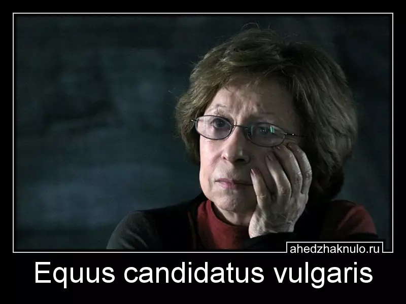Equus candidatus vulgaris